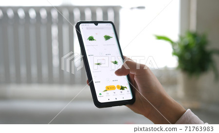 A woman at home sitting on couch in living room using smartphone buys in Internet shop. Girl orders food Home In an online store using a smartphone. A woman at home sitting on couch in living room using smartphone buys in Internet shop. Girl orders food Home In an online store using a smartphone. 71763983