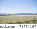 Soba field and touring 71764197