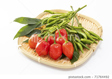 Habanero and green peppers on a white background 71764492