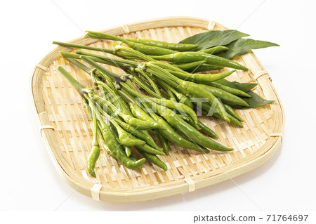 白色背景青椒 71764697