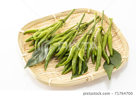 White background green pepper 71764700