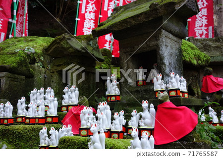 Sasuke Inari shrine Sasuke Inari shrine 71765587
