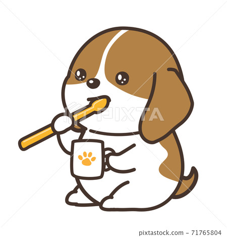 Beagle dog, a puppy brushing teeth Beagle dog, a puppy brushing teeth 71765804