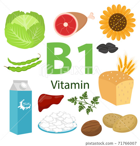 Infographic set of vitamin B1 and useful... - Stock Illustration ...