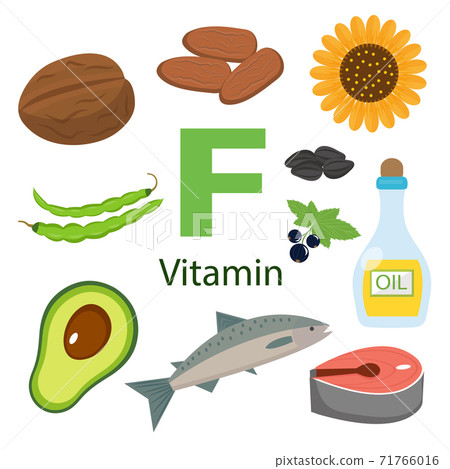 Vitamin F and vector set of vitamin F rich foods. Healthy lifestyle and diet concept Vitamin F and vector set of vitamin F rich foods. Healthy lifestyle and diet concept 71766016