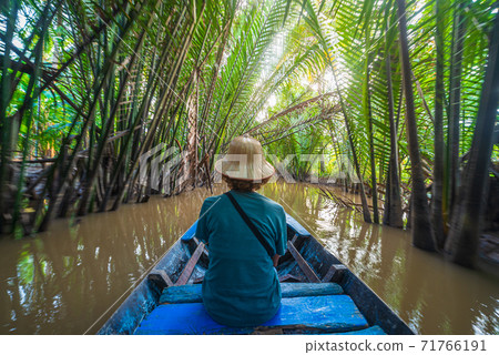 Boat tour in the Mekong River Delta region, Ben Tre, South Vietnam. Tourist with vietnamese hat on cruise in the water canals through coconut palm trees plantation. Boat tour in the Mekong River Delta region, Ben Tre, South Vietnam. Tourist with vietnamese hat on cruise in the water canals through coconut palm trees plantation. 71766191