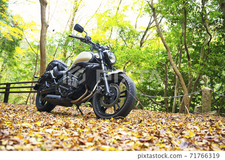 Bike Life Autumn Leaves Touring Shizuoka Prefecture Bike Life Autumn Leaves Touring Shizuoka Prefecture 71766319