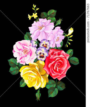 Floral painting. Bouquet of summer large roses isolated on black. Hand drawn beautiful botanical artwork for poster, card, banner or print. Floral painting. Bouquet of summer large roses isolated on black. Hand drawn beautiful botanical artwork for poster, card, banner or print. 71767663