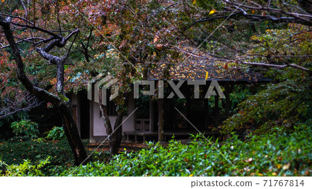 Hamamatsu Castle Garden Pond Building Hamamatsu Castle Garden Pond Building 71767814