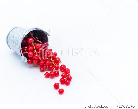 A metal basin filled with red currants A metal basin filled with red currants 71768170