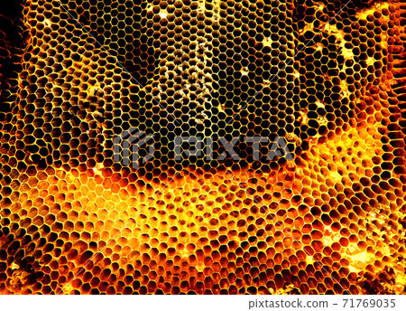 Background hexagon texture, wax honeycomb from a bee hive Background hexagon texture, wax honeycomb from a bee hive 71769035