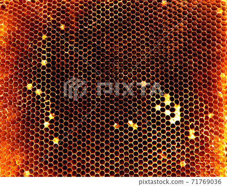 Background hexagon texture, wax honeycomb from a bee hive Background hexagon texture, wax honeycomb from a bee hive 71769036