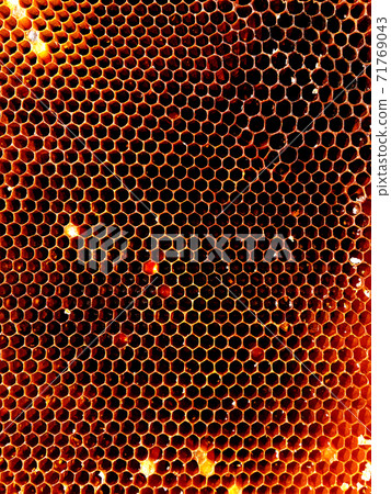 Background hexagon texture, wax honeycomb from a bee hive 71769043