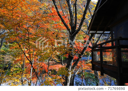 11月秩父149 no之國雙連之森秋葉(村落)奧秩父 11月秩父149 no之國雙連之森秋葉(村落)奧秩父 71769898