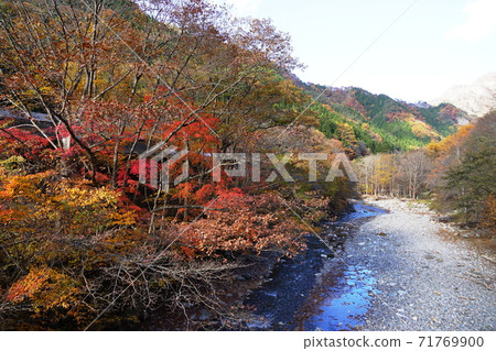 11月秩父148秋葉和奧秩父在中津川村露營地 11月秩父148秋葉和奧秩父在中津川村露營地 71769900