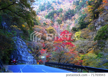 November Chichibu 106 Autumn leaves of Nakatsukyo, Okuchichibu 71769943