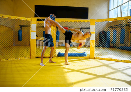 MMA fighter makes high kick to his opponent 71770285