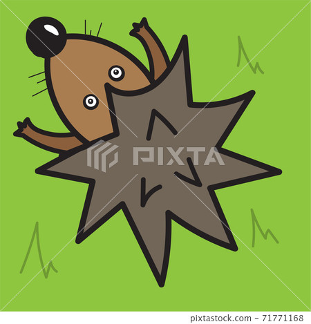 Vector illustration, hedgehog on a green background, top view 71771168