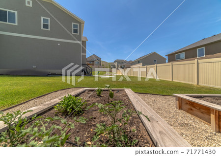 Raised garden beds used for growing vegetables at the backyard of a home Raised garden beds used for growing vegetables at the backyard of a home 71771430