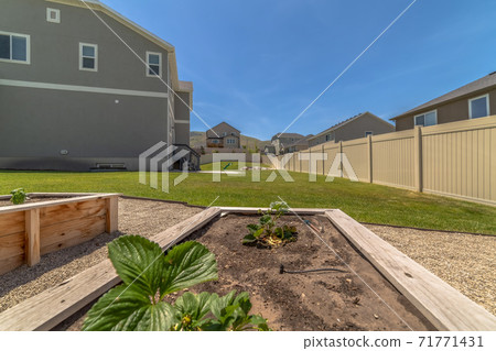 Backyard of home with vegetables growing on raised garden beds filled with soil Backyard of home with vegetables growing on raised garden beds filled with soil 71771431