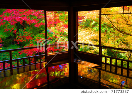 Ruriko-in Temple and autumn leaves in Sakyo-ku, Kyoto, Kyoto, autumn, season [November] 71773287