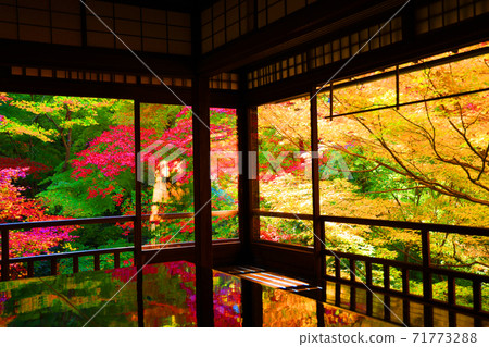 Ruriko-in Temple and autumn leaves in Sakyo-ku, Kyoto, Kyoto, autumn, season [November] 71773288