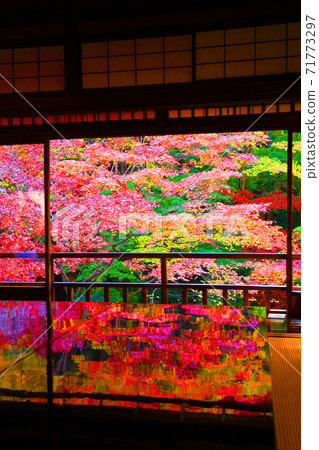 Ruriko-in Temple and autumn leaves in Sakyo-ku, Kyoto, Kyoto, autumn, season [November] 71773297