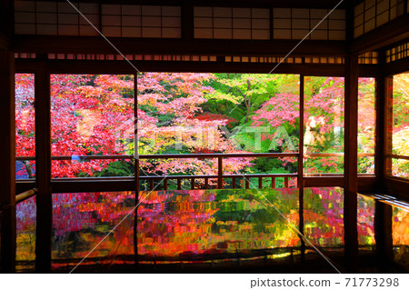 Ruriko-in Temple and autumn leaves in Sakyo-ku, Kyoto, Kyoto, autumn, season [November] 71773298