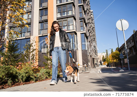 Woman walking with her lovely beagle Woman walking with her lovely beagle 71773874