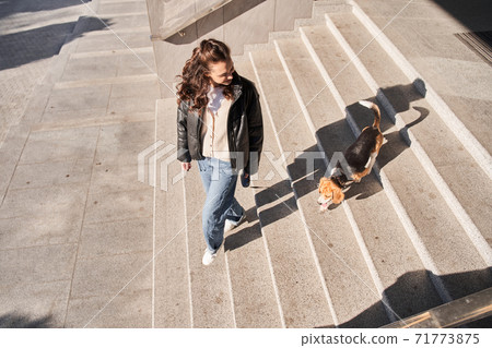 Woman looking at her dog 71773875