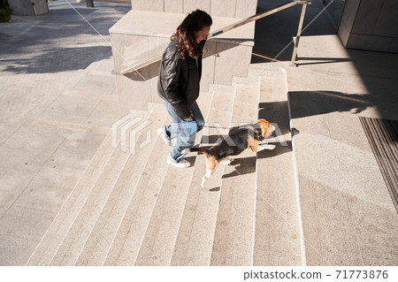 Dog running up stairs 71773876