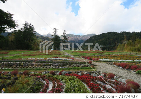 三嶽山纜車山腳下的車站大樓前的三嶽山花田- 71774437