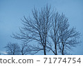 Snow-piled wood 71774754
