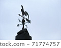 Weathercock 71774757