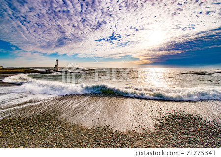 茨城縣大井町海中的秋色下的等oh燈籠 71775341