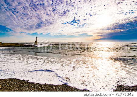 茨城縣大井町海中的秋色下的等oh燈籠 71775342