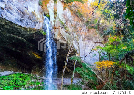 Tanashitafudo Falls in autumn Tanashitafudo Falls in autumn 71775368