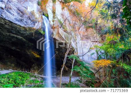 Autumn leaves and Tanashitafudo Falls 1 Autumn leaves and Tanashitafudo Falls 1 71775369