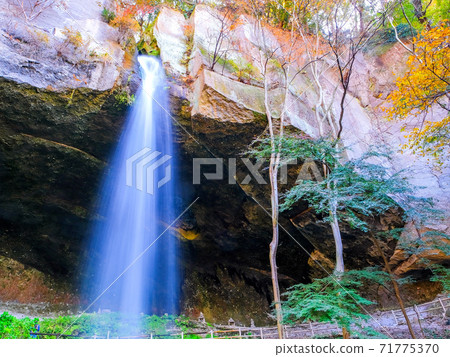 Autumn leaves and Tanashitafudo Falls 2 Autumn leaves and Tanashitafudo Falls 2 71775370