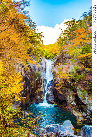 Senga Falls in Shosenkyo in Kofu City, Yamanashi Prefecture, which is rich in autumn colors 71775528