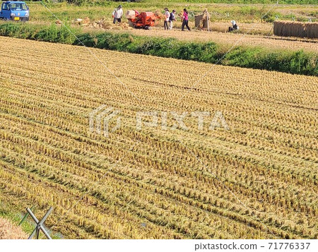 日本農業,家庭農業,小型手工,圖像材料,背景 日本農業,家庭農業,小型手工,圖像材料,背景 71776337