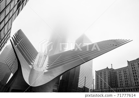 Low angle view of the World Trade Centre in Manhattan, New York 71777614