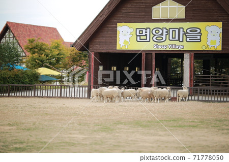 Ranch scenery, Anseong Farmland 71778050