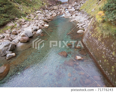 Mountain foliage Mountain foliage 71778243