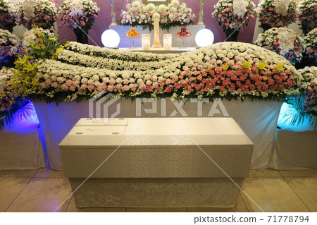 時尚花壇 時尚花壇 71778794