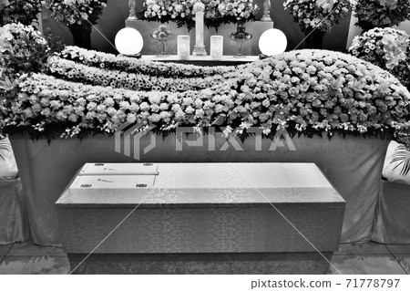 時尚花壇 71778797