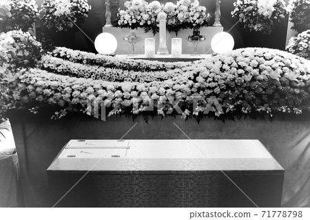 時尚花壇 71778798