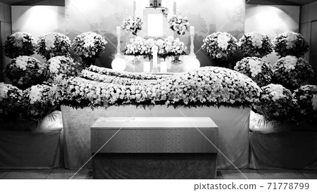 時尚花壇 時尚花壇 71778799