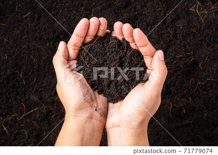 woman hand holding compost fertile black soil background woman hand holding compost fertile black soil background 71779074