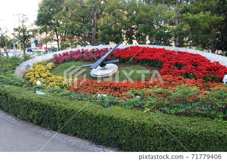 8 am flower clock 8 am flower clock 71779406